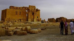 f Palmyra 1