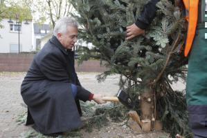 OB Feldmann beim Aufstellen des Weihnachtsbaums in Harheim Copyright Stadt Frankfurt Foto Maik Reuss
