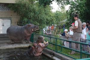 zoo Flusspferde klein 0614b6e2ba