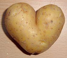 220px Potato heart mutation