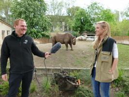 Moderator Marco Dinter interviewt Kuratorin Sabrina Linn Copyright Zoo Frankfurt