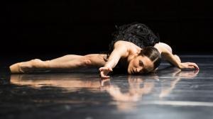 csm the dying swan project zdf jeanette bak be66ebdb13