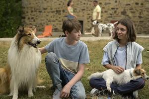 Lassie2 BD2