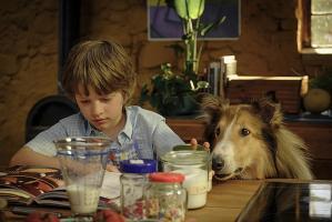 Lassie2 Abenteuer4