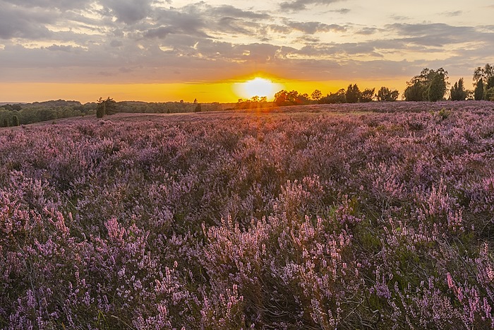 Heimat Natur TV2