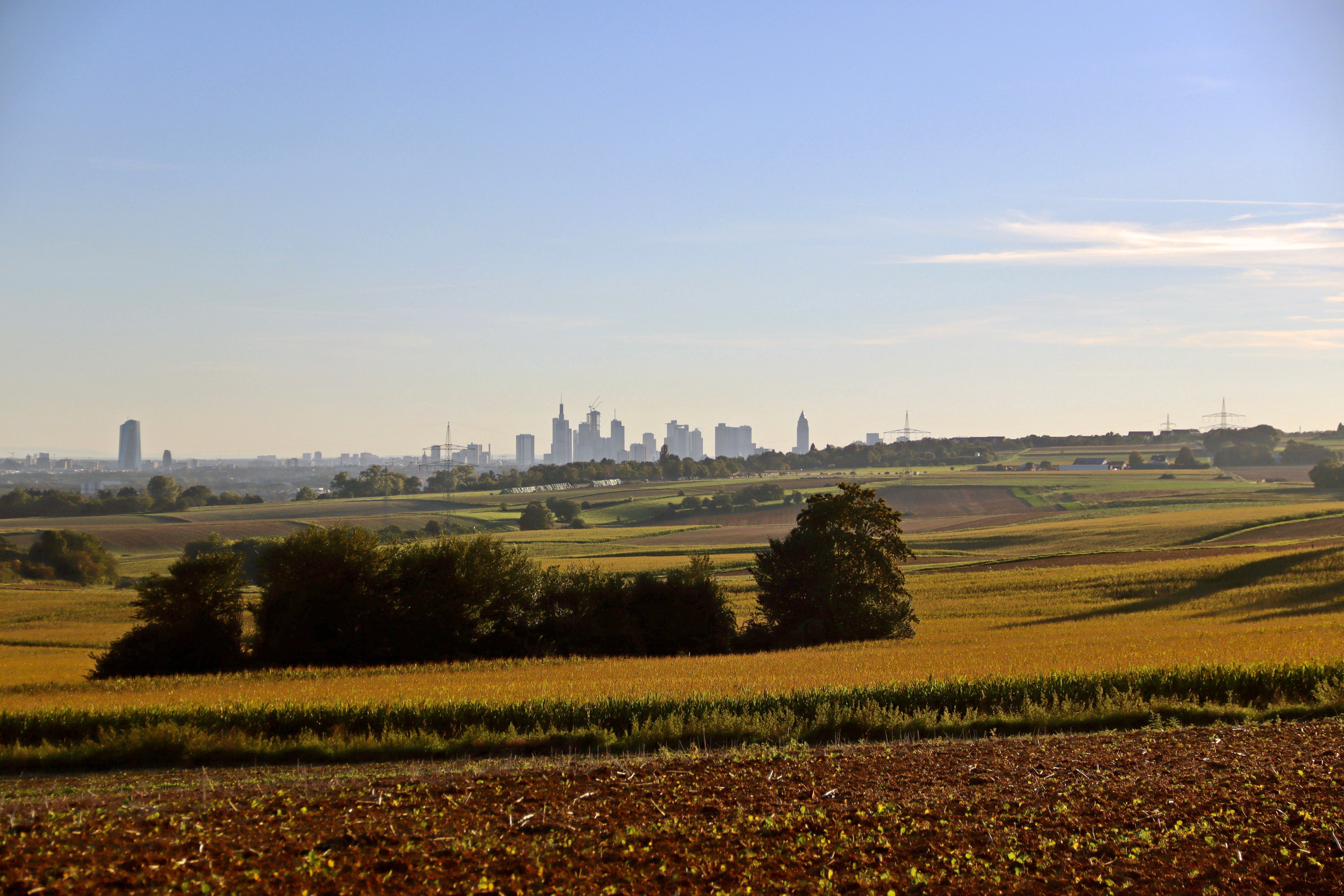 Hohe Straße Skyline 2023 Copyright Stadt Frankfurt am Main Foto Jan Hassenpflug