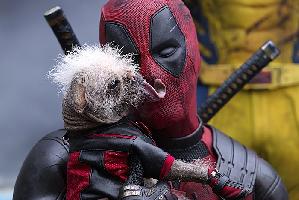 Deadpool Wolverine BD2