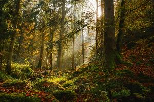 2024 12 23 Gewinner des Naturpark Fotowettbewerbs gekürt 1