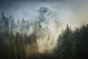 2024 12 23 Gewinner des Naturpark Fotowettbewerbs gekürt 3