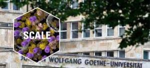 Goethe Uni Frankfurt