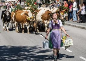 Bildschirmfoto 2024 09 07 um 02.48.25