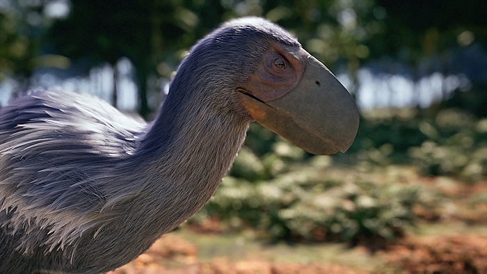 Dinos TV3