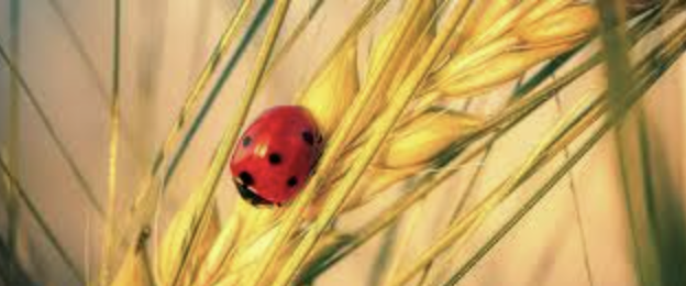 Bildschirmfoto 2025 11 10 um 21.28.38