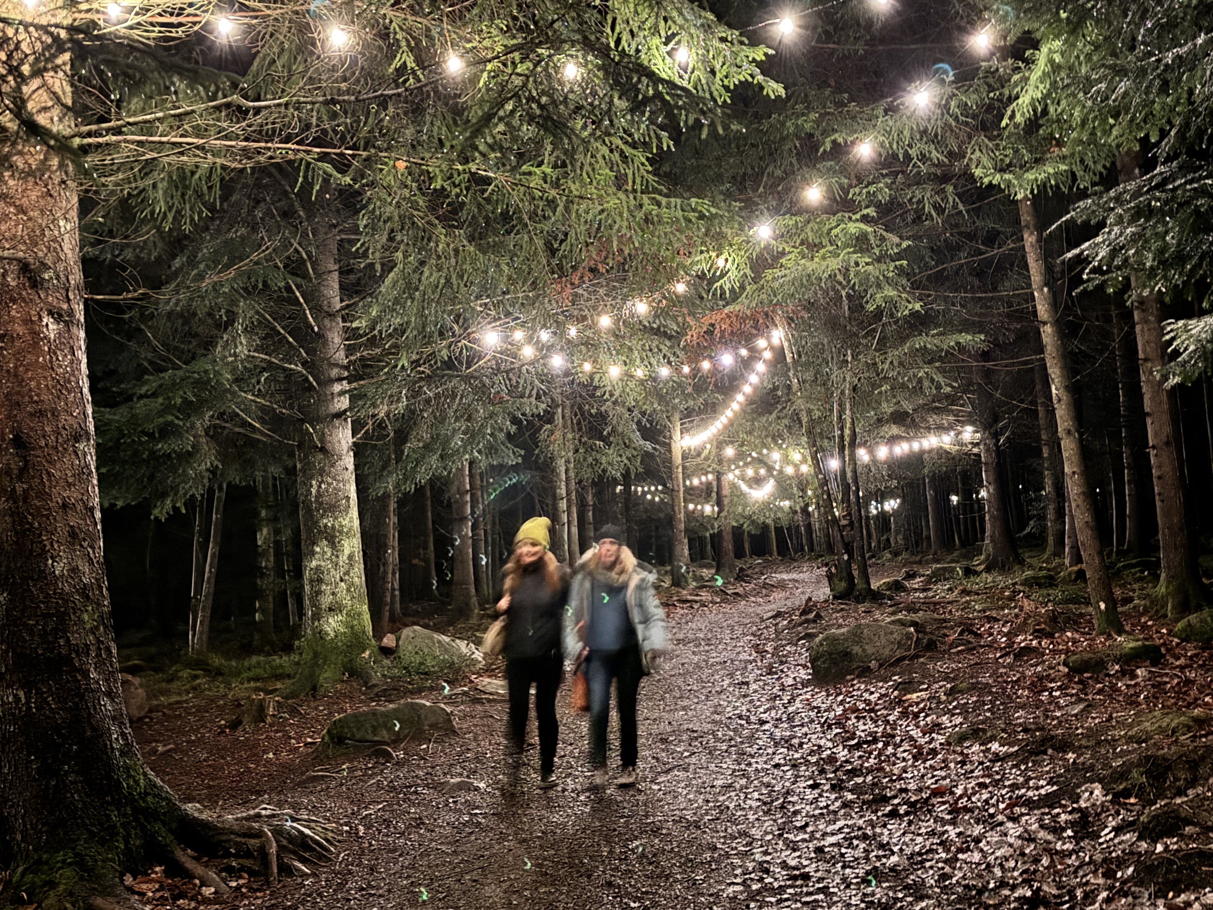 IMG 2193 Foto Zoller