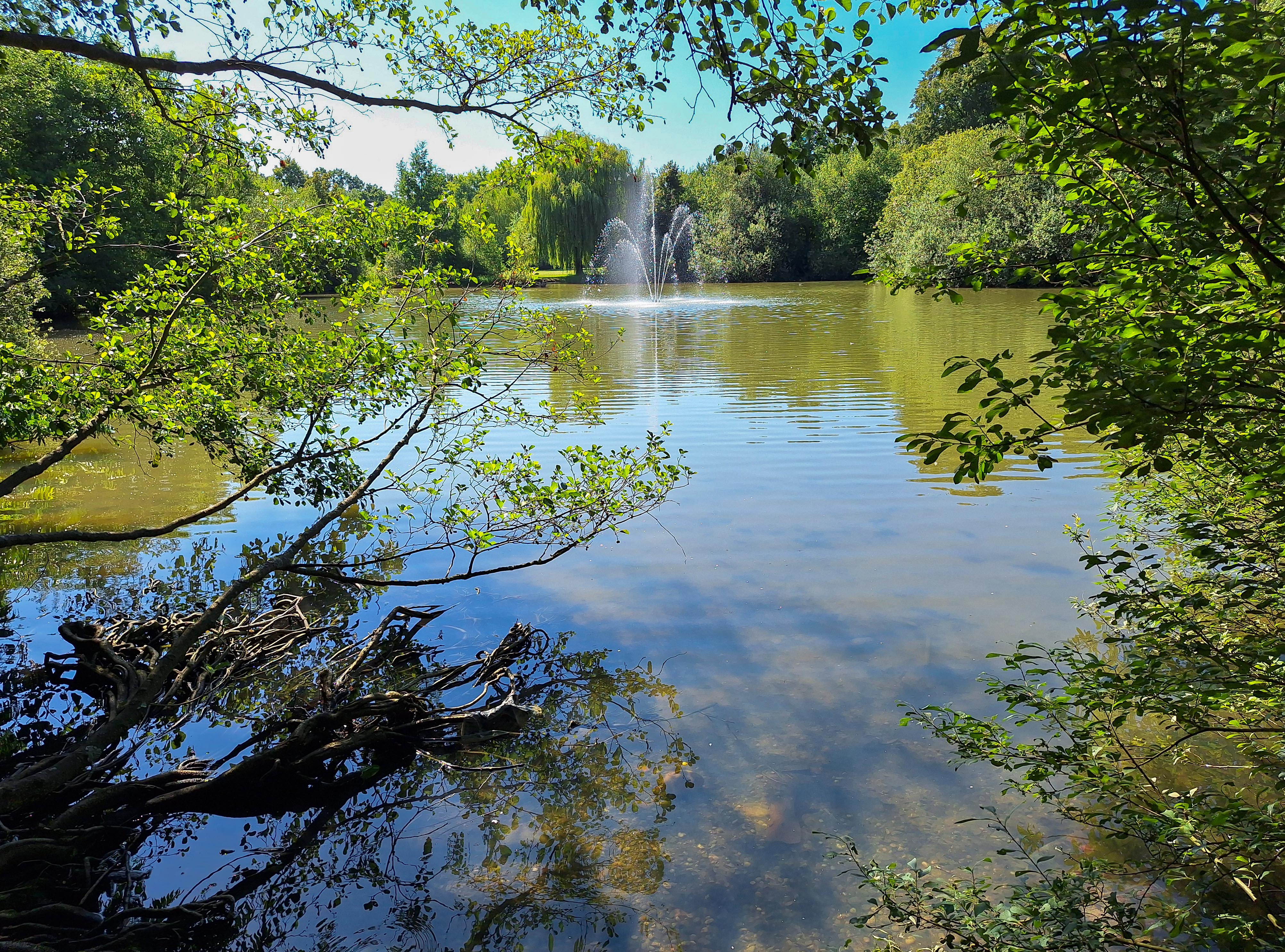 Martin Luther King Weiher Manfred Sattler
