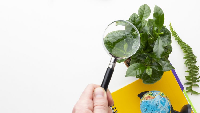 csm close up hand holding magnifying glass cf668ef7d6