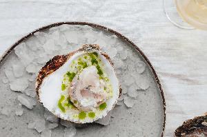 Freya McOmish Scandinavia Standard danish oysters 2 medium