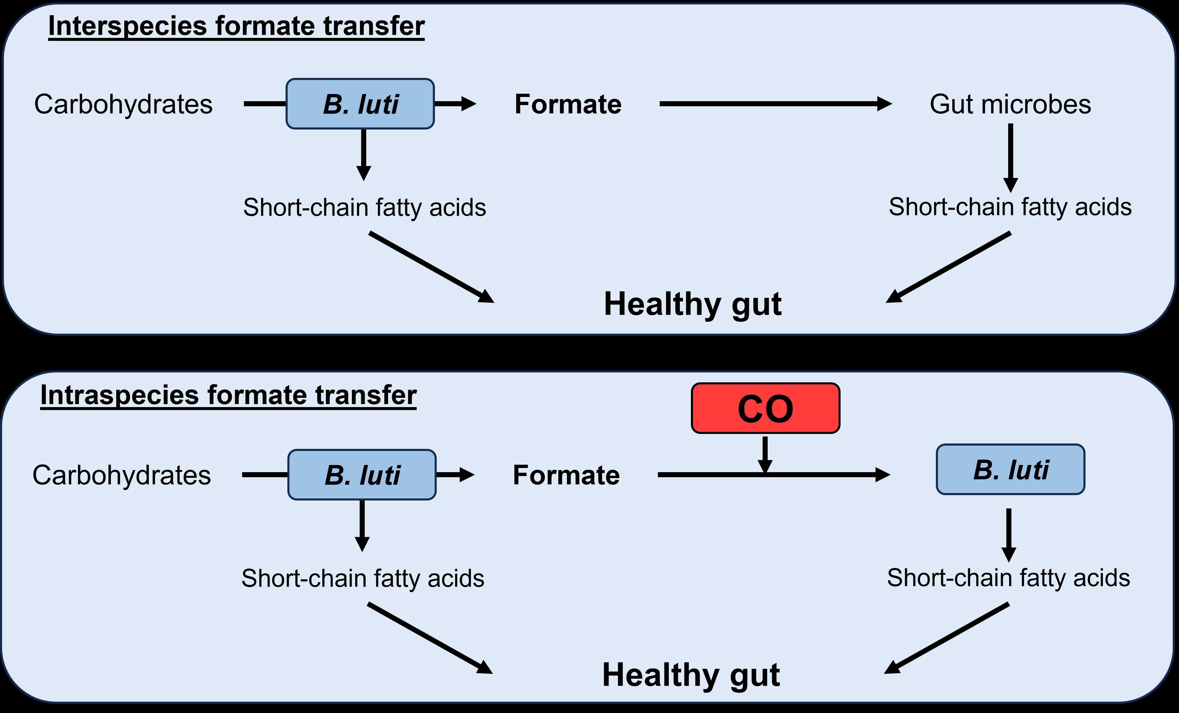EN FlowChart Formate transfer