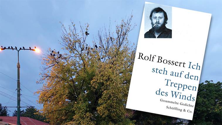 bossert