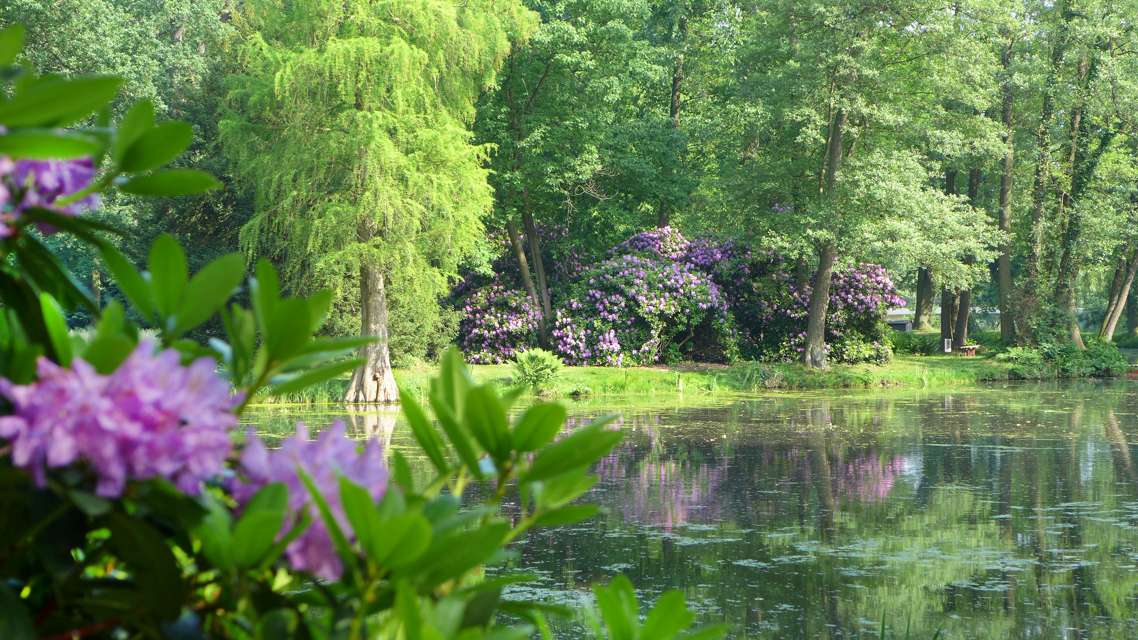 Schlosspark Krumke cGartenträume Sachsen Anhalt e. V